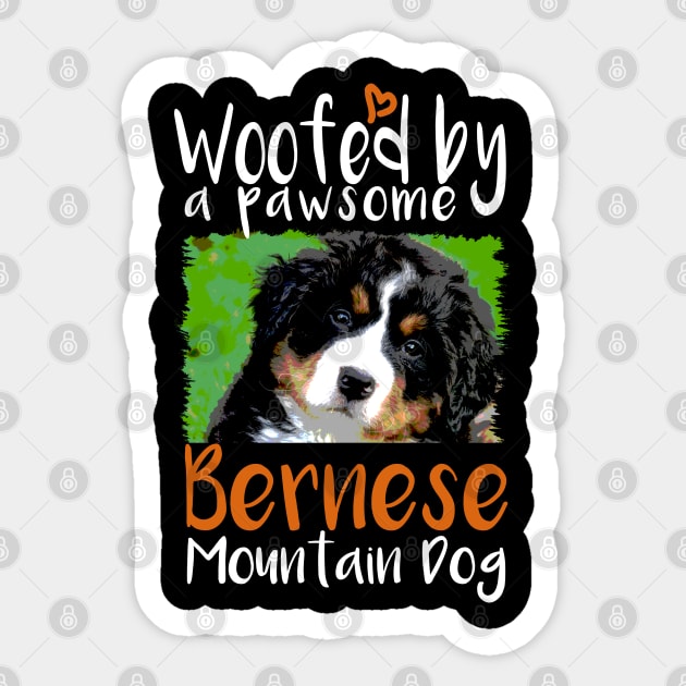 Bernese Mountain Dog Face Sticker by VanTees